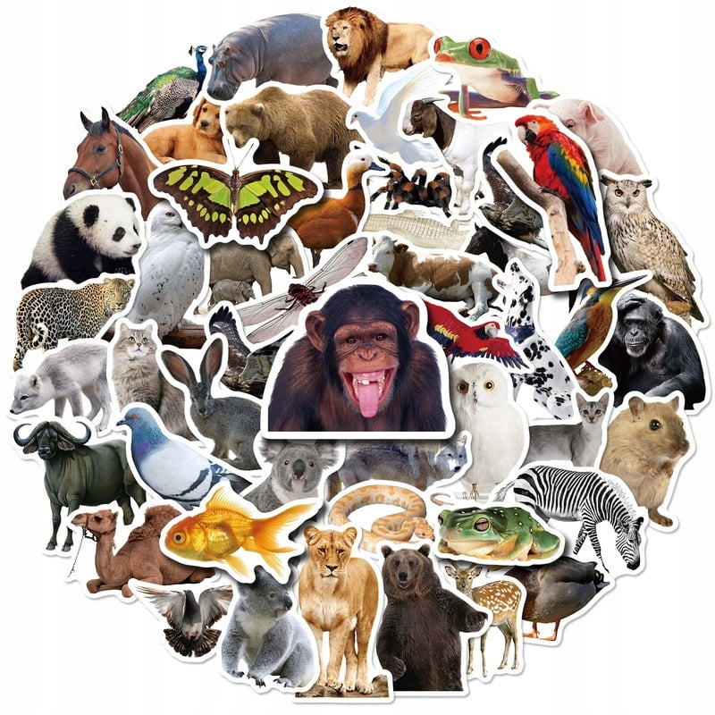 Wild Sticker 150 Pcs Stickers Zoo Jungle Wild With Z For Colorful And Waterproof ...