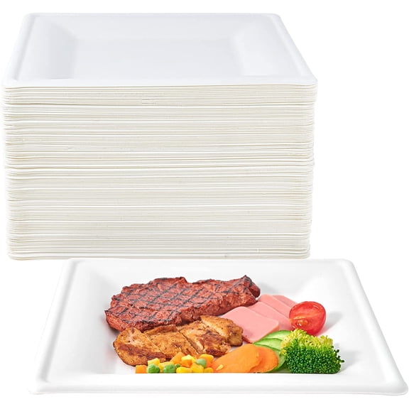 150 Pieces Compostable Square Paper Plates, 10 Inch Disposable Eco-Friendly Biodegradable Sugarcane Bagasse Party Plates for Dinner, Picnic, BBQ, Birthday, Wedding, Outdoor Use