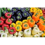 150 Seeds RAINBOW BELL PEPPER Sweet Red, Green, Yellow, Orange, Purple, Brown, White Capsicum Annuum Vegetable Seeds