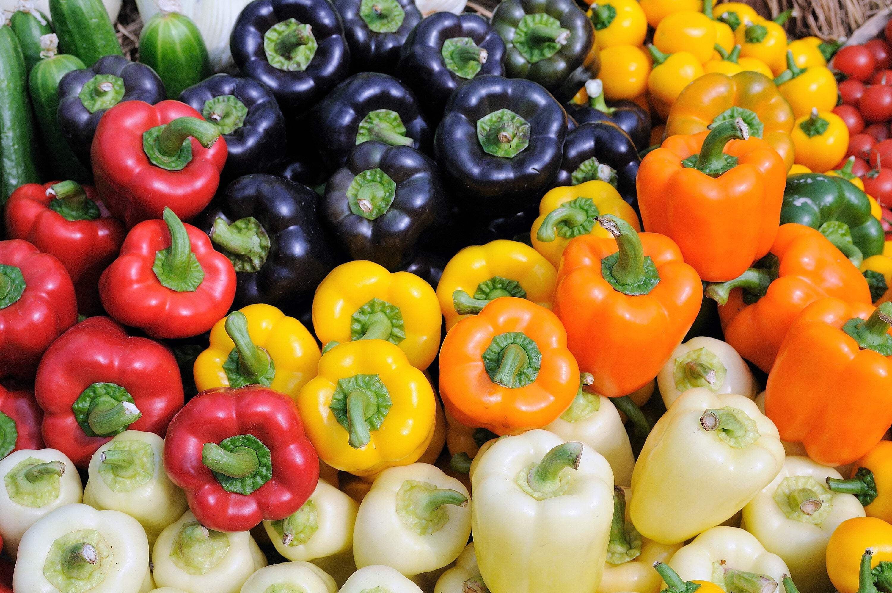 150 Rainbow Bell Pepper Seeds - Red, Green, Yellow, Orange, Purple