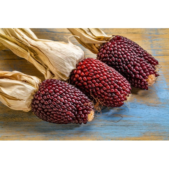 150 Seeds Red STRAWBERRY POPCORN CORN Zea Mays Vegetable Seeds