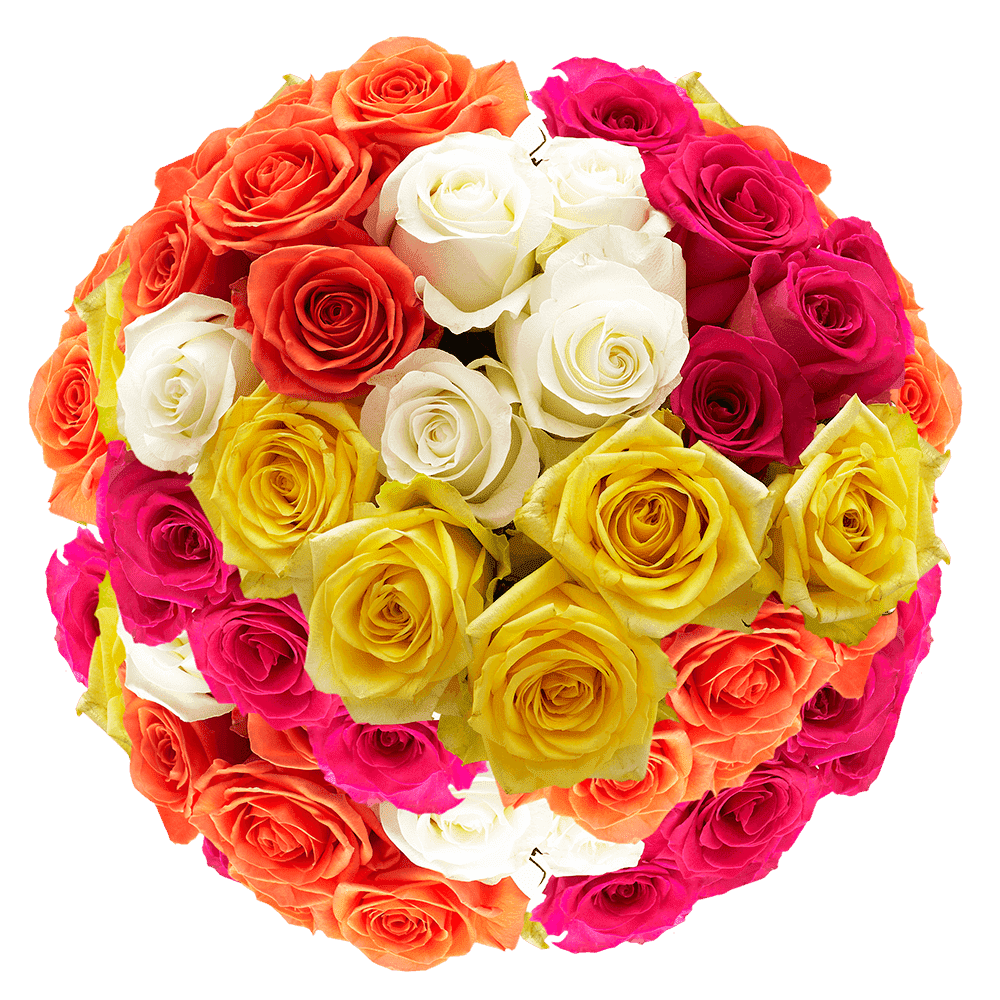 150 Stems of Assorted Roses- Beautiful Fresh Cut Flowers- Express ...