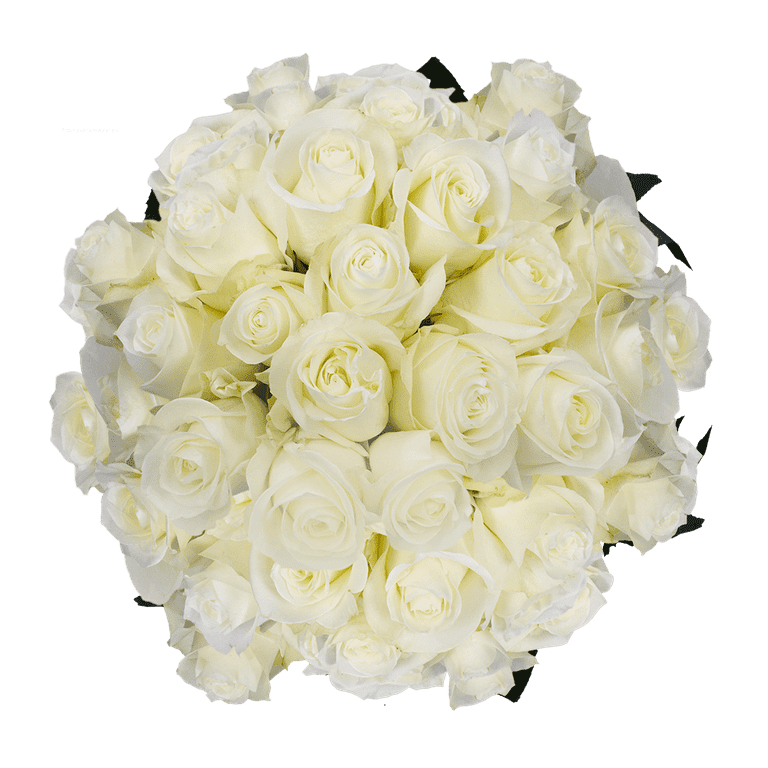 https://i5.walmartimages.com/seo/150-X-Long-Stems-of-Proud-Roses-Fresh-Flower-Delivery_b4082a13-7414-4d36-bda2-f34369a3ffd7.90cc8f3633bd2379387291f55544e746.png?odnHeight=768&odnWidth=768&odnBg=FFFFFF