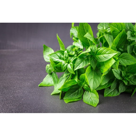 1500 LEMON BASIL Ocimum Basilicum HERB Flower Seeds