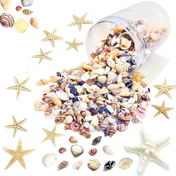 1500 PCS Small Natural Sea Shells (Mixed Starfish/Snail): For Beach Theme Parties, Home Decor, DIY Crafts, Candle Making, Fish Tank/Vase Fillers | Home Decor, Kitchen, & Other