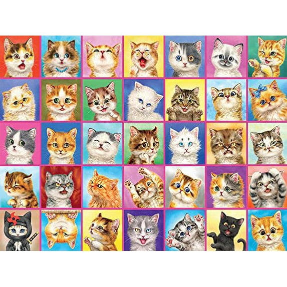 1500PC CATS CATS CATS