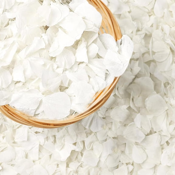 1500pcs Natural Dried Hydrangea Petals Ivory White 1.06 oz 30g