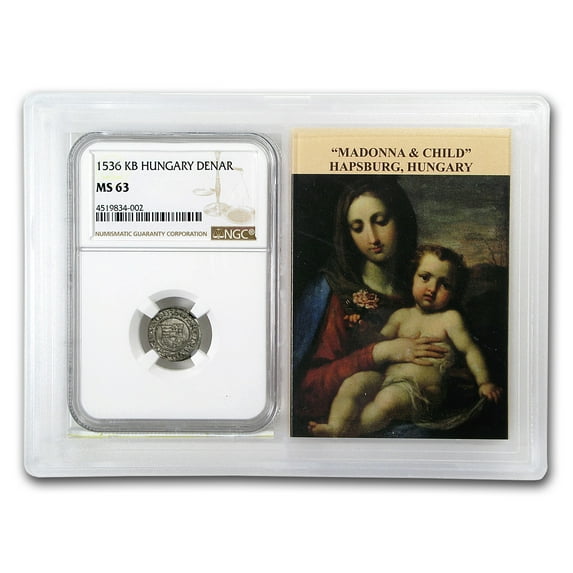 1500s KB Hungary Silver Denar MS-63 NGC (Random, Story Vault)