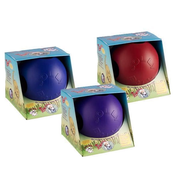 150452 Teaser Ball, 10" Purple