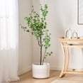 thumbnail image 1 of 150CM ARTIFICIAL DISC LEAF TREE, 1 of 13