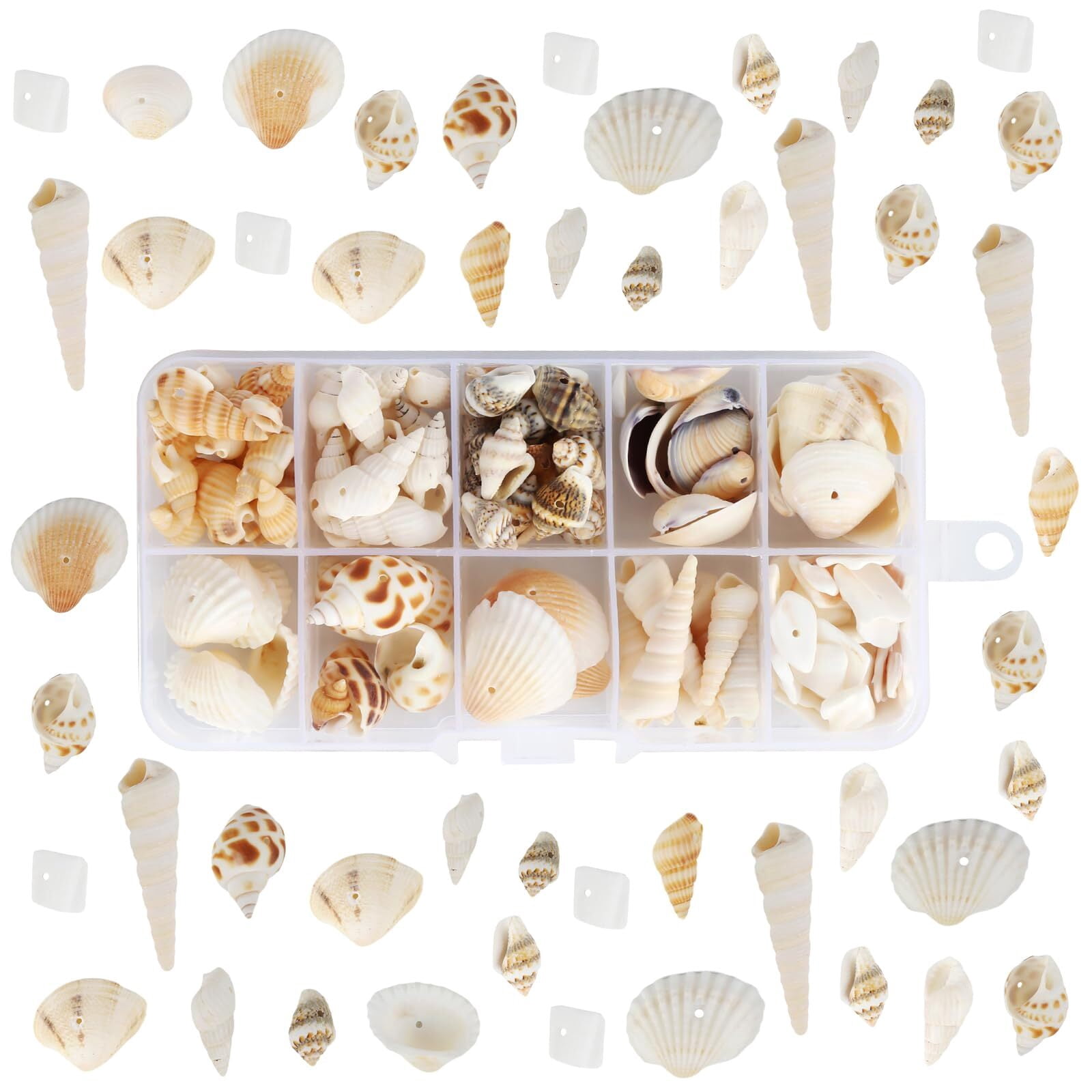 Tiny Shell Triangular Shape 150Pcs Mix Tiny Shells Natural Seashells Wedding Beach Nautical Decor ...