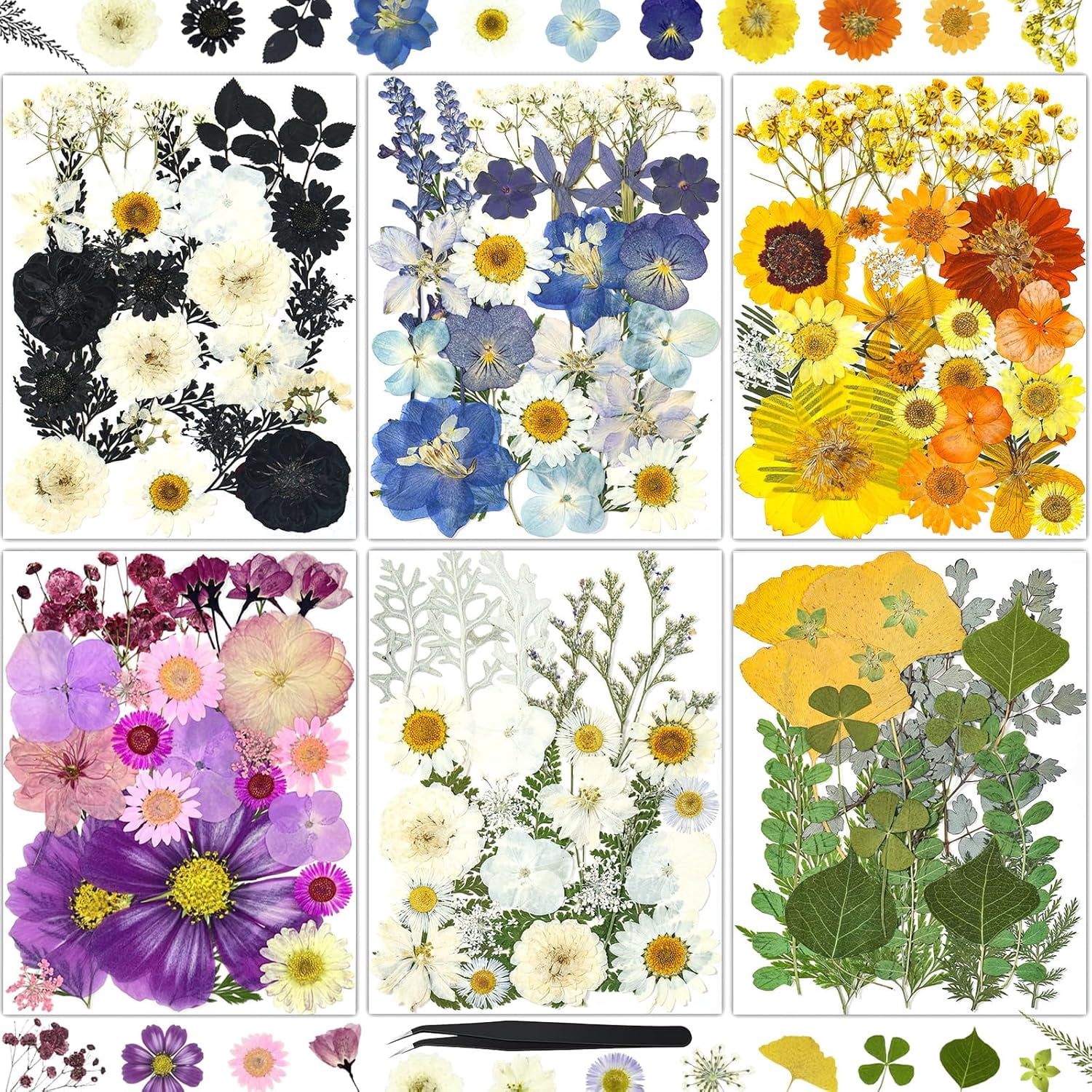 150Pcs Pressed Flowers for Crafts, Colorful Dried Flowers for Crafts Real Natural Dried Pressed Flowers Dry Leaves Bulk for Resin, DIY Art, Scrapbook, Jewelry, Card, Candle & Soap Making with Tweezer