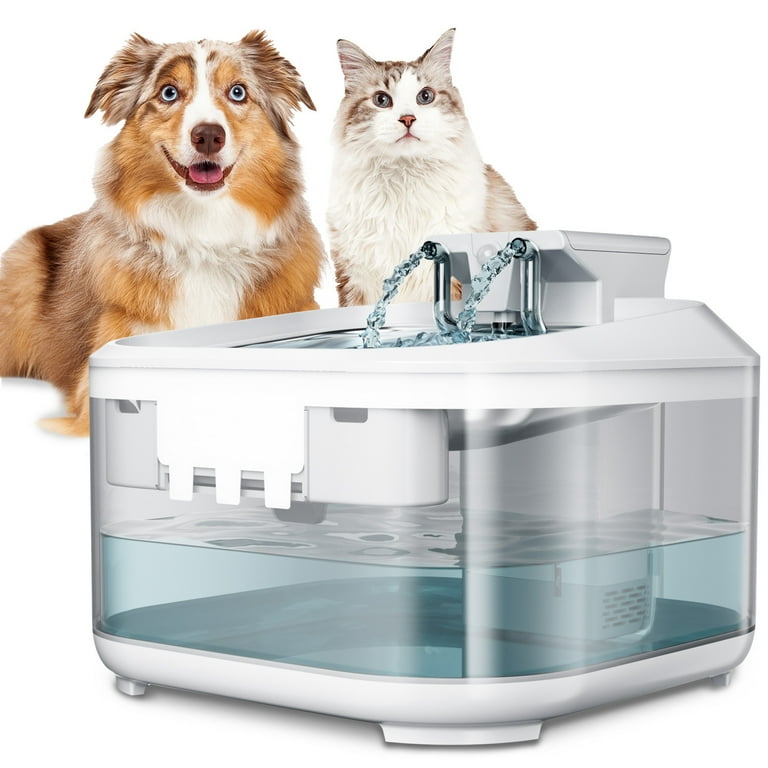 Filtered water dispenser for dogs sales