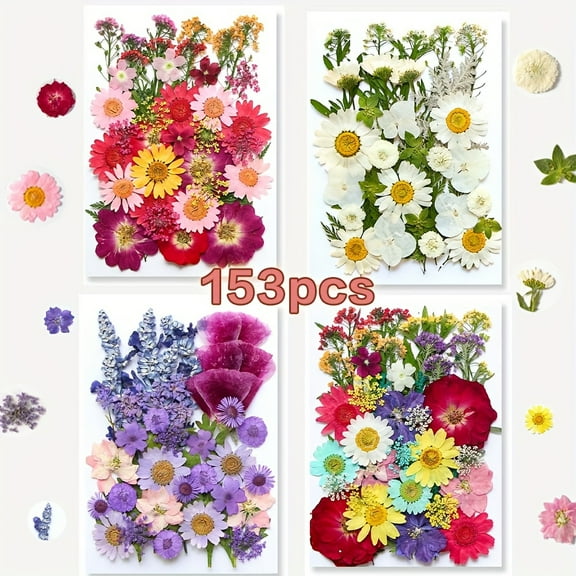 153-160pcs Vibrant Dried Pressed Flowers and Leaves Set - Nature-Inspired Decoration Kit for DIY Crafts, Resin Jewelry, Scrapbooking and More Halloween,  Gift