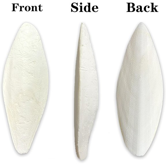15PCS Bird Cuttlebone for Parakeets Cuttlebone for Birds,(Each 2-5cm) - 100% Natural Cuttlefish Bone Bulk Chew Toy Bird Bites Calcium Stone for Canaries Tortoises