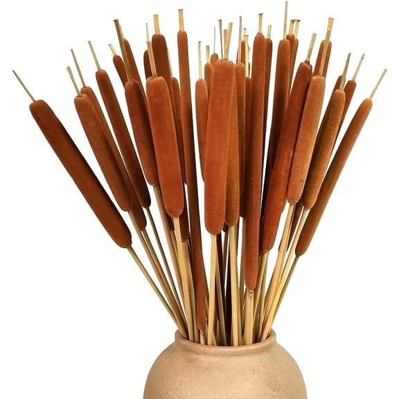 15Pcs Dried Natural Cattail Flowers, 16" Assorted Cattails for Modern Boho Decor, Pampas Grass Decorations, Farmhouse Wedding Bouquet, Vase Arrangements