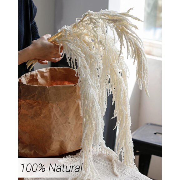 15Pcs Ivory White Dried Hanging Amaranthus Flowers - 23"-27" Cascading Stems for Wedding Home Decor