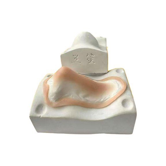 15g Silicone Nose Model, Soft Flexible Reusable Simulation 3D Silicone Nose Model for Jewelry Display, Practice Teaching Instructions Teaching Tool - Type B