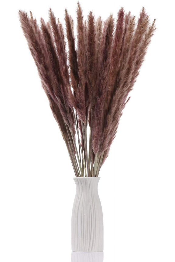 15pcs Dried Flowers 17 inch Natural Dried Pampas Grass Reed Plant with Box Real Flowers Romantic Wedding Flower Bulrush Bouquets Flavorful Durable for DIY Home Decor Matching Photography (Brown)