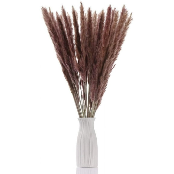 15pcs Dried Flowers 17 inch Natural Dried Pampas Grass Reed Plant with Box Real Flowers Romantic Wedding Flower Bulrush Bouquets Flavorful Durable for DIY Home Decor Matching Photography (Brown)