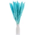 thumbnail image 1 of 15pcs Dried Flowers 17 inch Natural Dried Pampas Grass Reed Plant with Box Real Flowers Romantic Wedding Flower Bulrush Bouquets Flavorful Durable for DIY Home Decor Matching Photography (Blue), 1 of 14