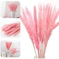 thumbnail image 1 of 15pcs Dried Flowers 17 inch Natural Dried Pampas Grass Reed Plant with Box Real Flowers Romantic Wedding Flower Bulrush Bouquets Flavorful Durable for DIY Home Decor Matching Photography (Pink), 1 of 14