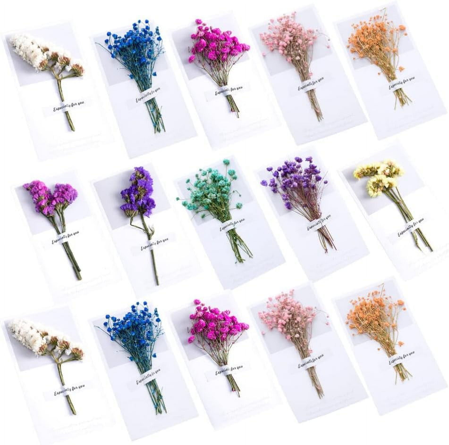 15pcs Flower Dry Note You Birthday Thanksgiving Friends Blessing Banquet Blank Gifts Card Flowers Paper Wedding Creative Dried Holiday Color Greeting Handmade Party Supplies Diy