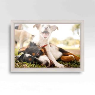 Craig Frames Hatteras, 4x10 inch Picture Frame, Beach Wood, Set of 4