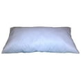 thumbnail image 1 of 15x23 Inch Rectangular Throw Pillow Insert Form, 1 of 2