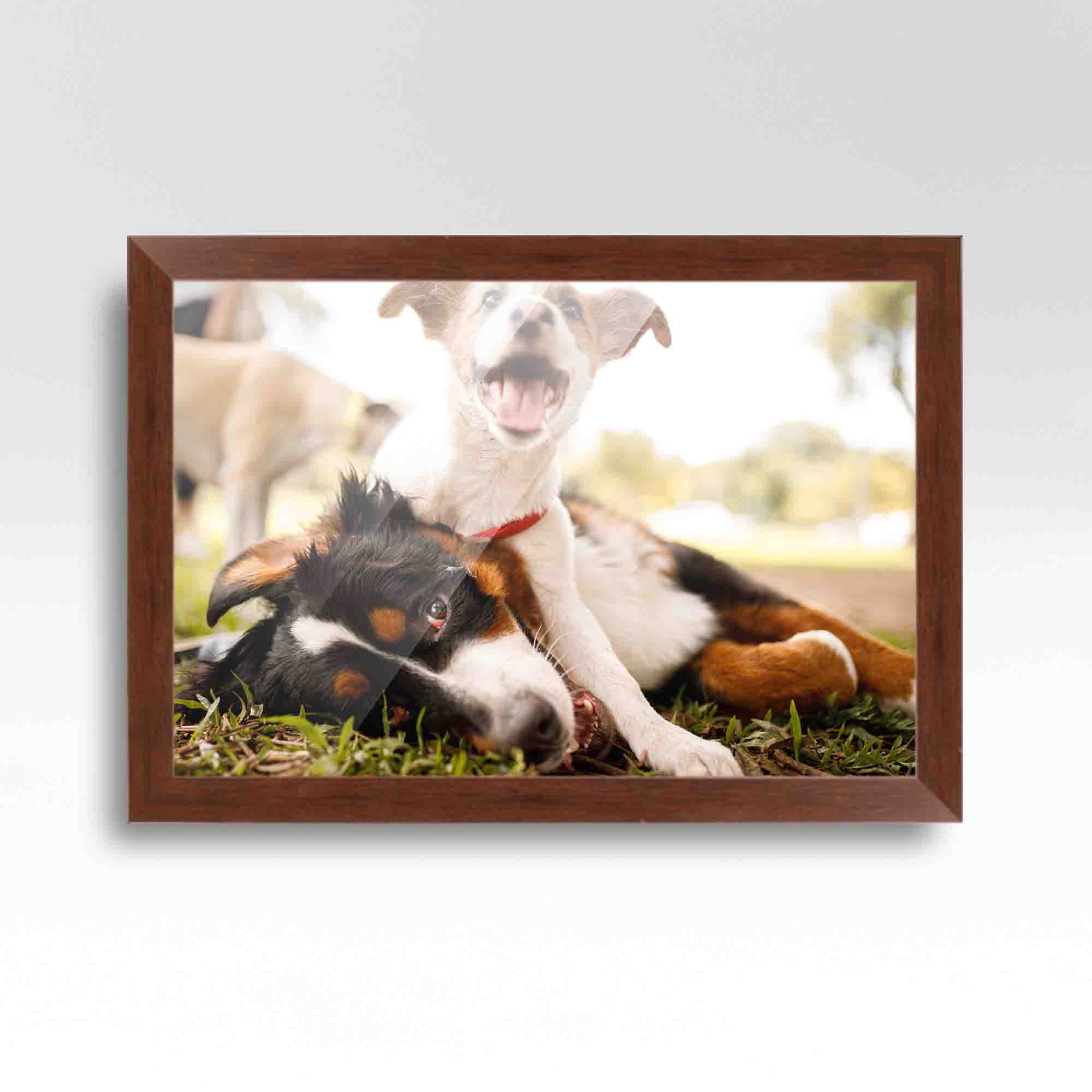 20x20 Frame Gold Real Wood Picture Frame Width 2 inches