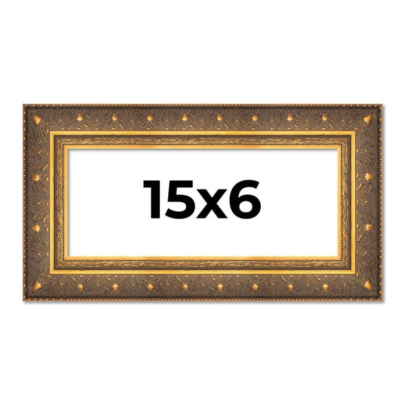 15x6 Frame Vintage Gold Solid Wood Picture Frame | 2.5 Inch Moulding Width | Ornate Bronze Museo