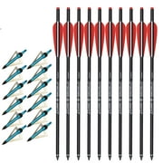20 Inch Carbon Crossbow Bolts 12 Pack, Carbon Crossbow Arrows for