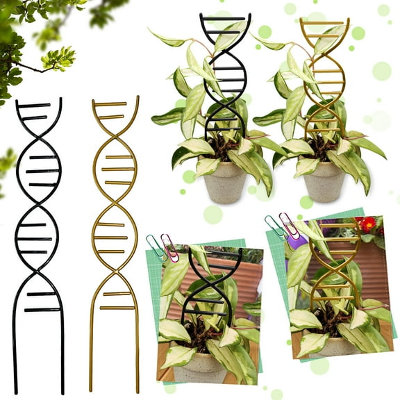 16×3 Inch15.7x2.6 Inch Metal DNA Shape Plant Trellis Support Stake, Heavy Duty Iron Climbing Vine Bracket Stand For Indoor Houseplants And Potted Garden Decor