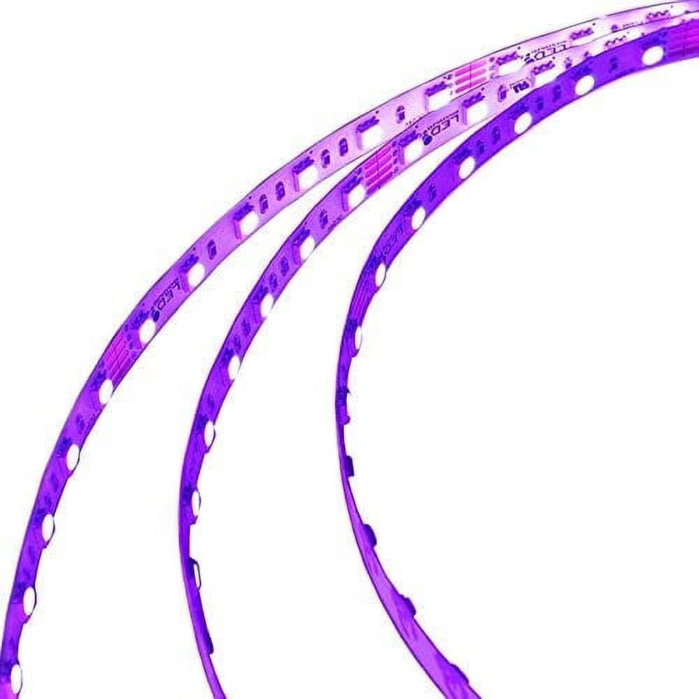 16.4-ft High Output Color-Changing Flexible Ribbon with 300xSMD5050 RGB ...