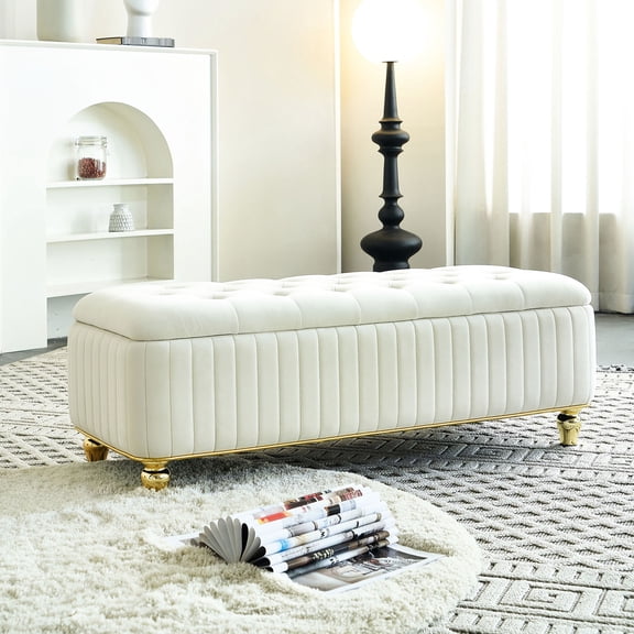 16.50 - inch High Storage Ottoman | Multi - use as Coffee Table, Seating in Living Area | Skin - soft Velvet Fabric with Gold Embroidery | Arranges Home Necessities