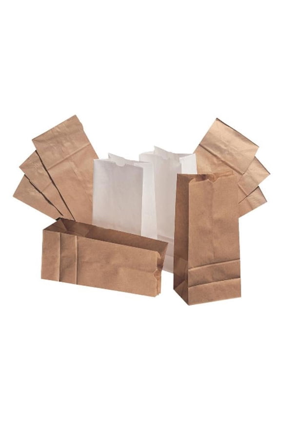 16 Bleached Paper Bag 500-Bundle - White Bleached Kraft