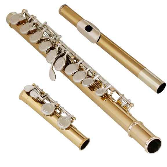 16 Closed Holes Flute C Flute Concert Flutes Woodwind Instruments for and Music Enthusiasts