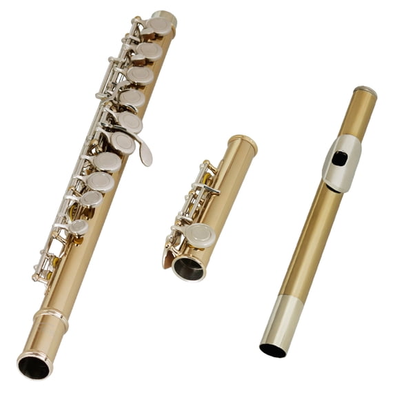 16 Closed Open Holes C Key Professional Transverse Flute Concert Instrument for Beginners and Kids