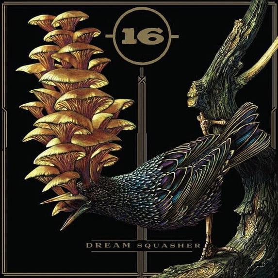 16 - Dream Squasher - Music & Performance - CD