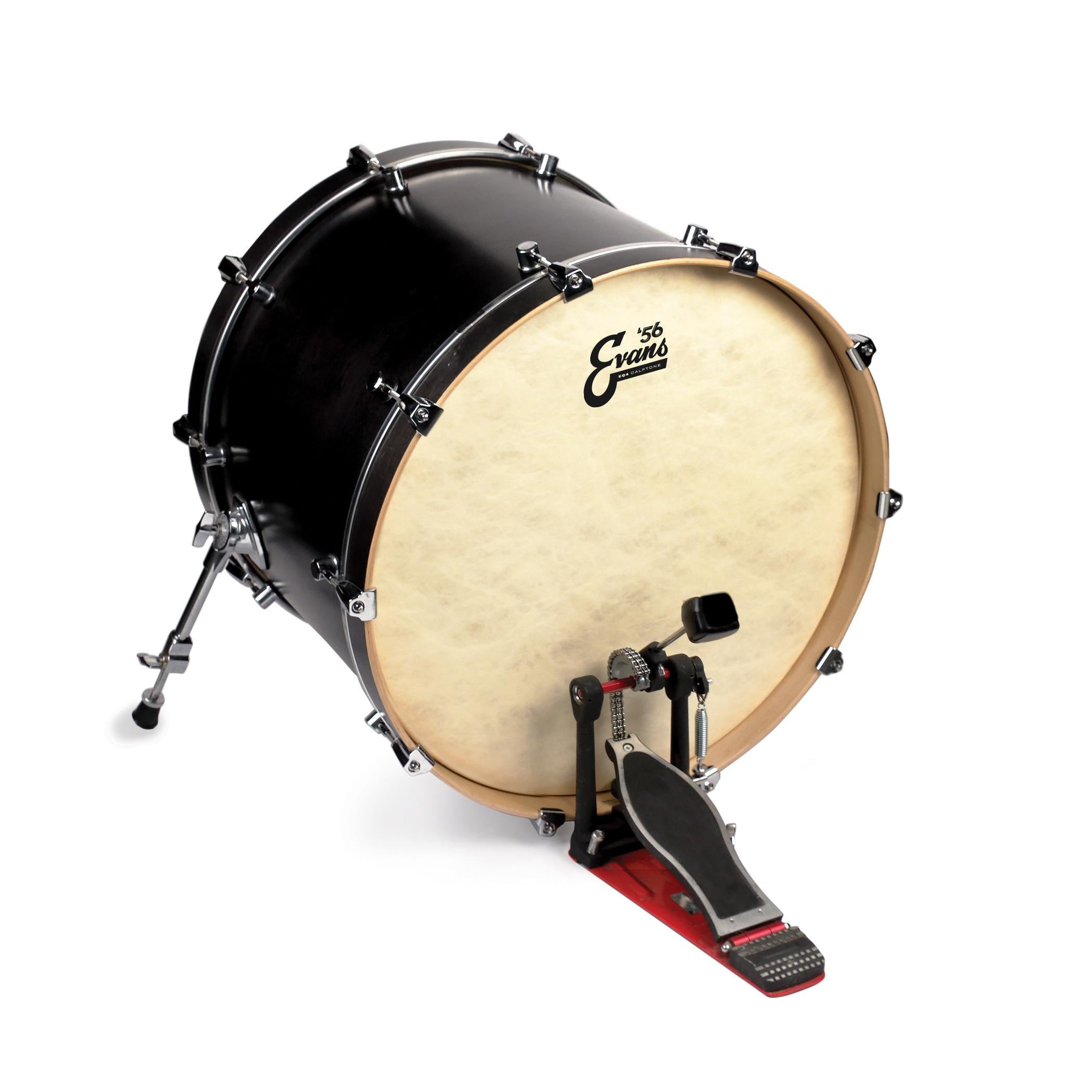 Amazon.co.jp: EVANS エヴァンス ドラムヘッド EQ4 Calftone