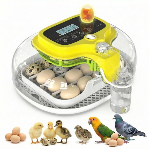 16 Egg Incubator for Hatching Chicks with Automatic Egg Turning & Humidity Control, Smart LED Candler, Adjustable Egg Tray for Chicken, Duck, Quail,Goose, Birds, Clear View for Kids Education