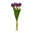 thumbnail image 1 of 16"H Plum Tulip Bundle of 5 2/Bag, 1 of 2