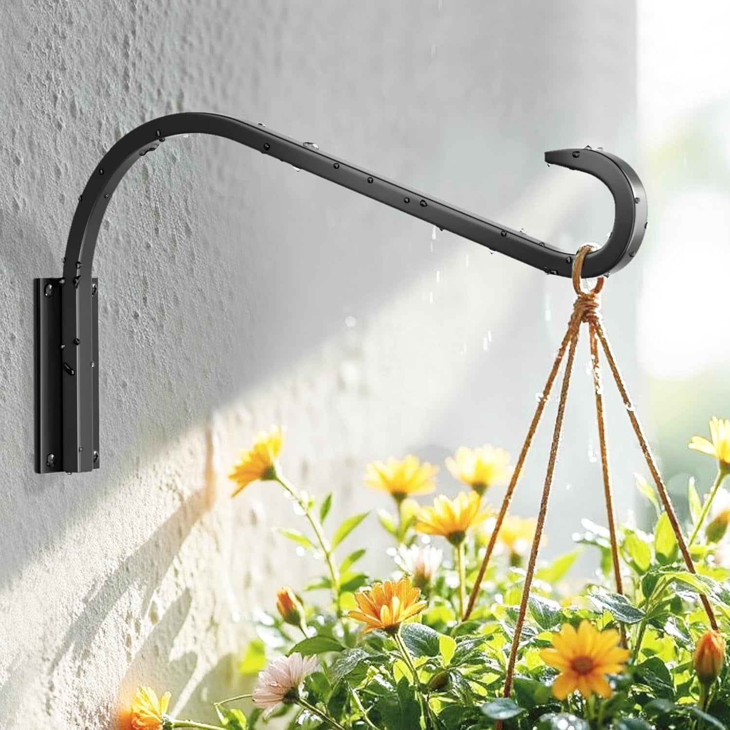 Hanging Plant 12 Inch 2 Pack Plant Hangers - Heavy Duty Black Metal Wall  Mount Hooks For Indoor Outdoor Use Plant Hooks Outdoor