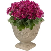 16-Inch Darcy Round Plant Pot - Polyresin Large Outdoor Urn Planter with Drillable Drainage Hole - Beige