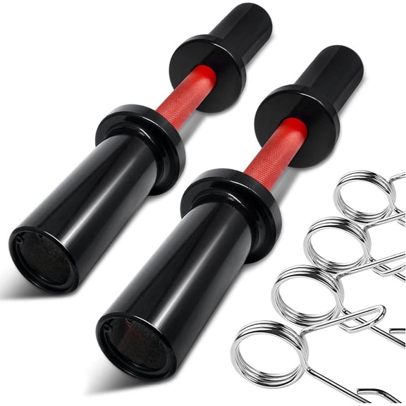 16-Inch Loadable Dumbbell Bars (Pair) - Compatible with 2-Inch Plates, 100 Lbs Capacity for Home Gym Strength Training