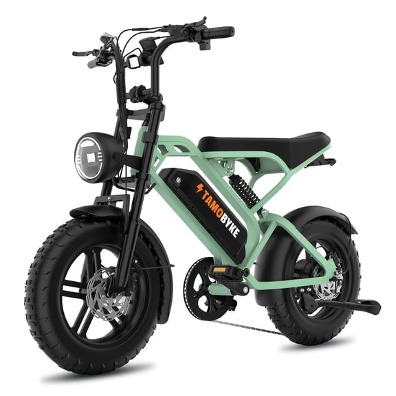 16-Inch Tire Unisex Adult Mountain E-Bike, 1000W Motor, 48V 15.6AH Battery, Seven-Speed, Action 2 Display & APP