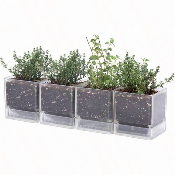 16 Inch X 4.5 Inch Clear Square Plastic Herb Planter Set With Drainage Holes And Saucers, Modern Indoor Gardening Pot