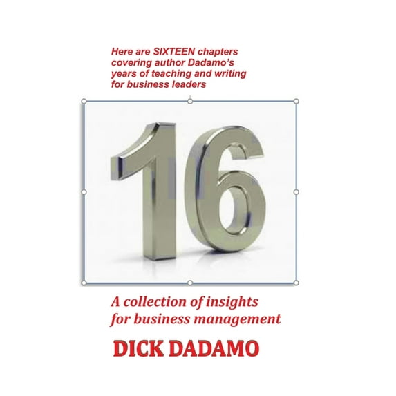 16-Insights for business management Paperback 171690109X 9781716901096 Dick Dadamo, Dave Berkus