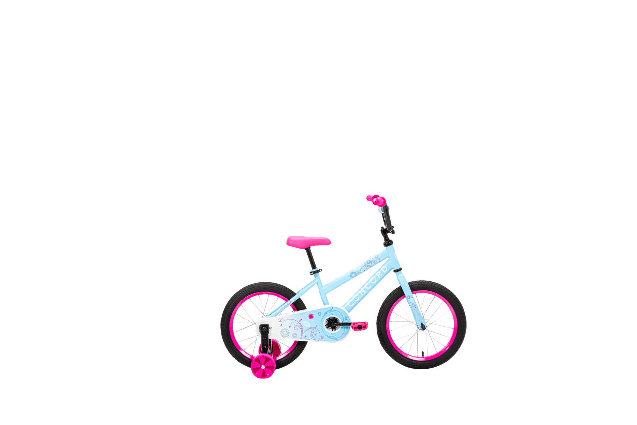 16 KIDS BIKE B/P