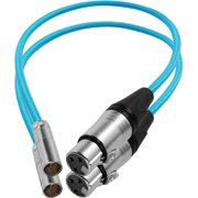 Kondor Blue 16" Mini XLR Male to XLR Female Audio Cable, Blue, 2-Pack